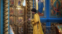 DSC02732.jpg